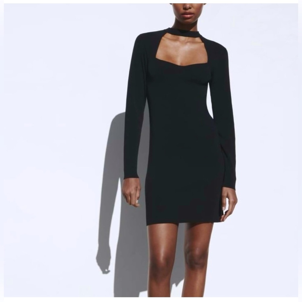 ZARA | Knit Chocker Dress